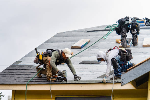 Professional Roofing technician working in Holland, IA